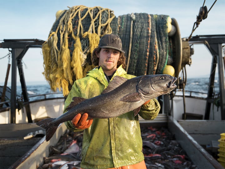 <p>A deckhand holding a sablefish, aka black cod</p>