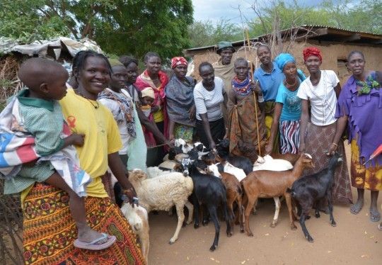 <p><em>Members of Koroirok women in Turkana group show off their goats donated by UNDP as part of an initiative to restock livestock.</em></p>