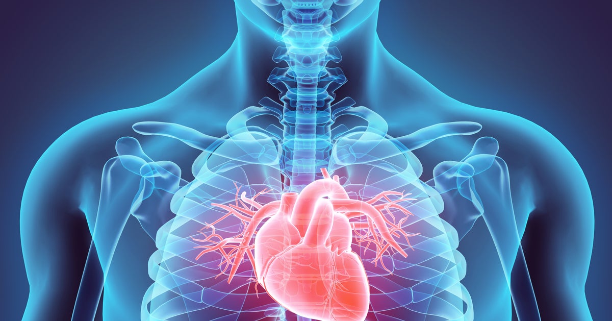 Dead Heart Line Scientists Have Worked Out How To Save A 'Dead' Heart After A Heart ...