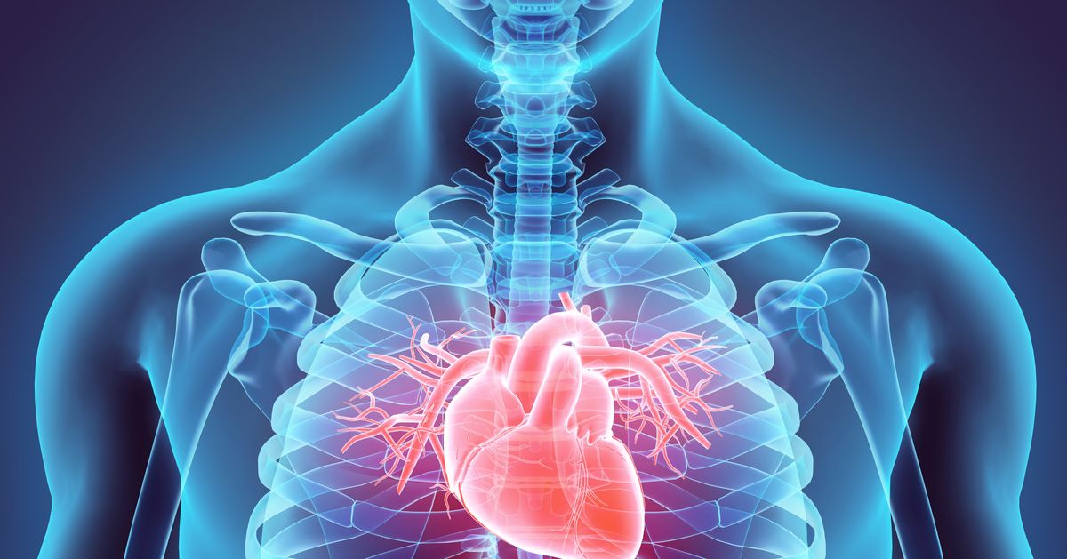 Scientists Have Worked Out How To Save A Dead Heart After A Heart