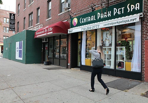 <p><strong>Central Park Pet Spa is at 38-07 Ditmars Blvd.</strong></p>