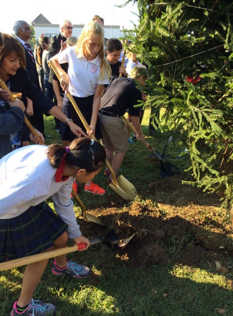 Green for good project at St. Margaret Mary Elementary School / LouisvilleKY.com