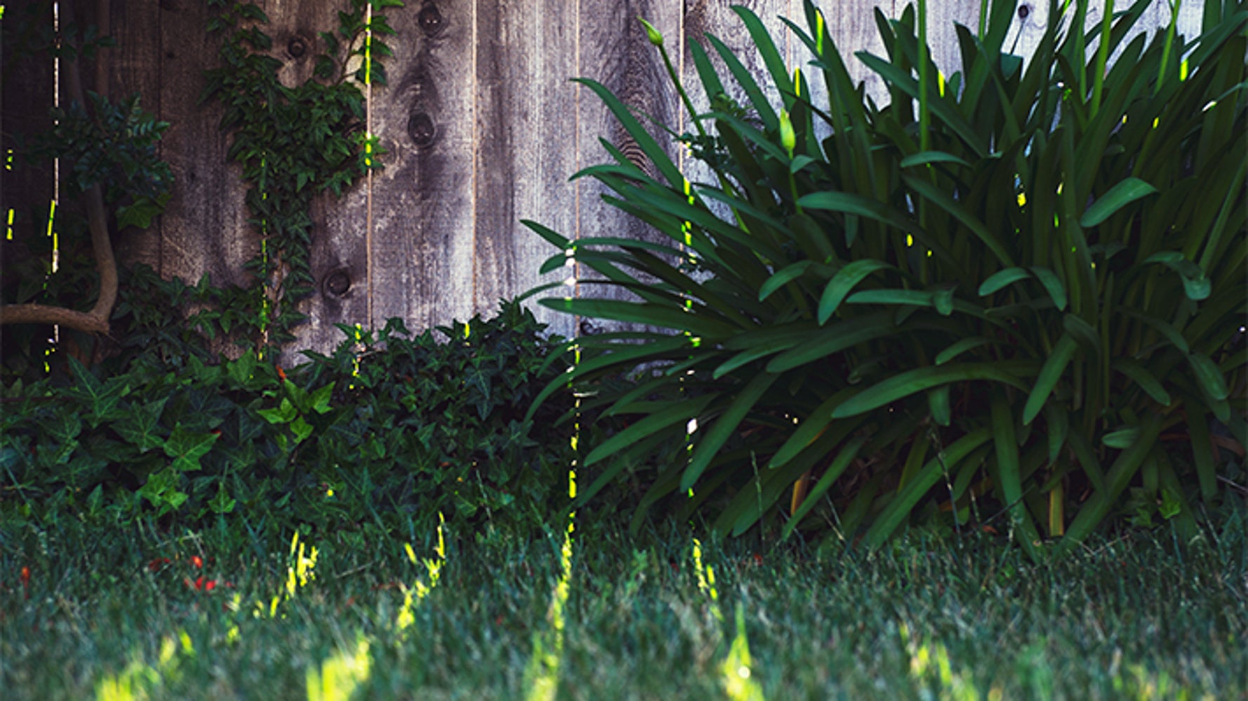 The Grass Is Always Greener On The Other Side | HuffPost