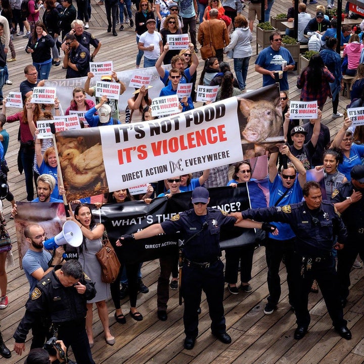 <p>DxE protest.</p>