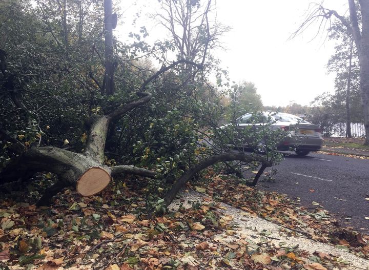 Storm damage in Belfast, after Hurricane Ophelia battered the UK and Ireland with gusts of up to 80mph.