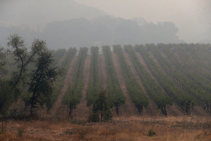 Heavy smoke hangs over a vineyard as the Nuns Fire continues to burn on Oct. 10, 2017, in Glen Ellen, California.