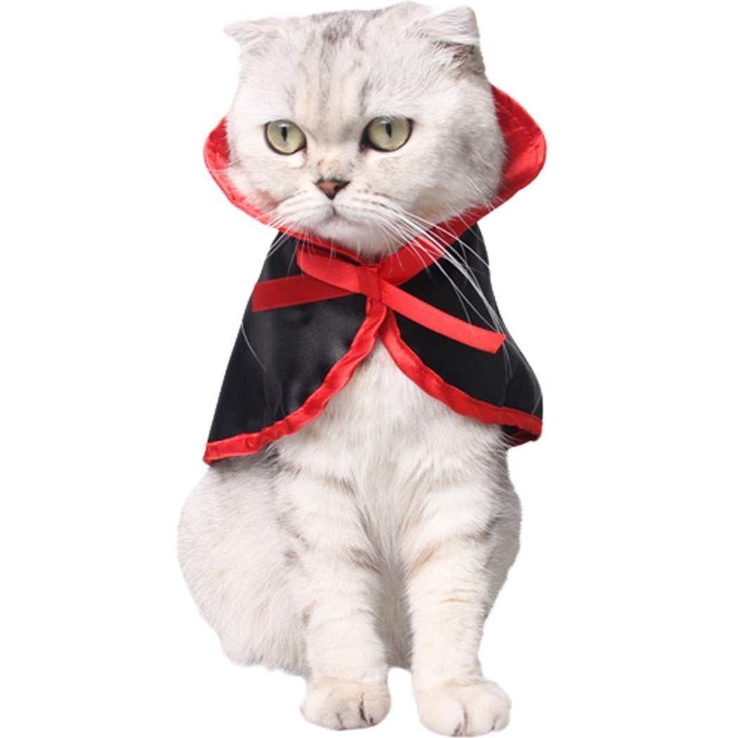 cat collar costume