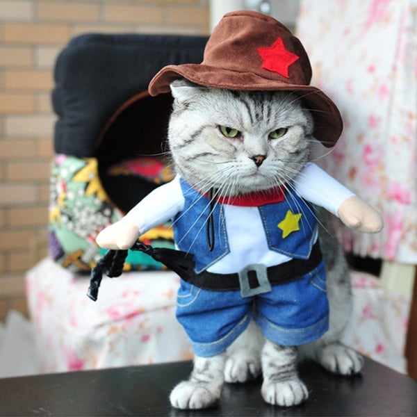 These 25 Cat Halloween Costumes Are Pure Instagram Gold HuffPost
