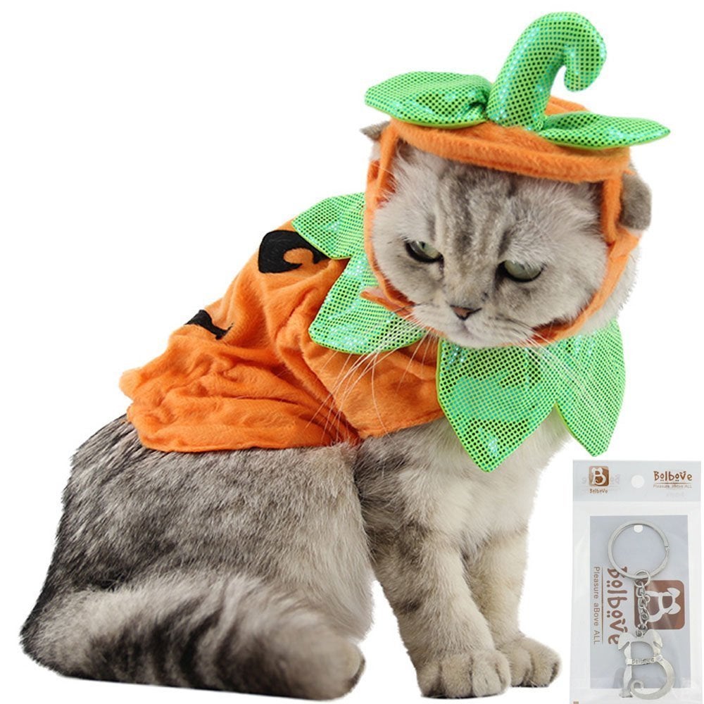cat alien costume