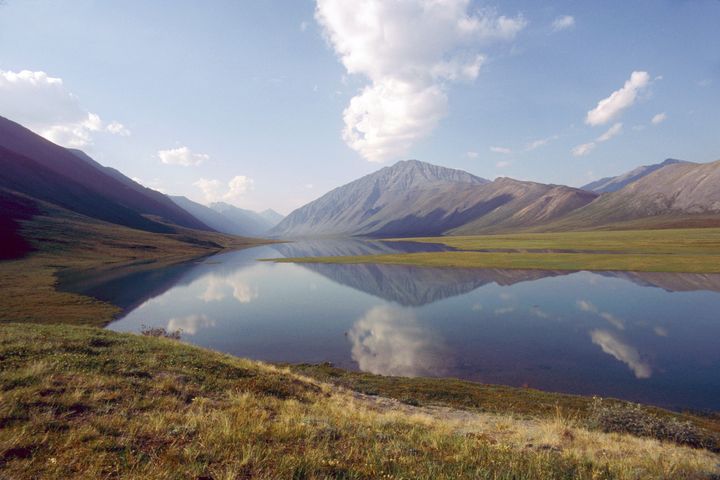 Parts of the Arctic National Wildlife Refuge, in northeastern Alaska, are thought to contain more than 10 billion barrels of oil.