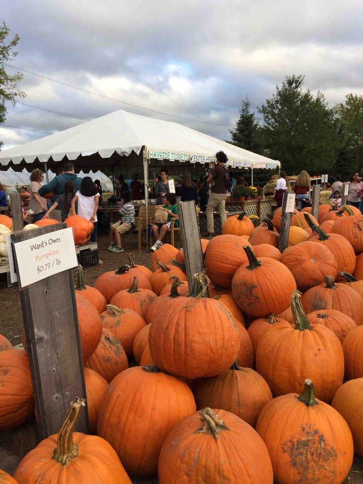 <p>Ward’s Berry Farm, Sharon, Mass.</p>