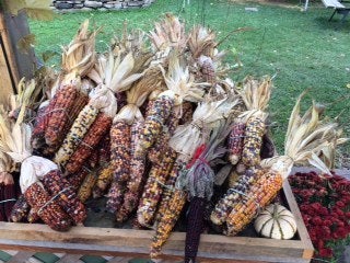 <p>Ward’s Berry Farm, Sharon, Mass.</p>