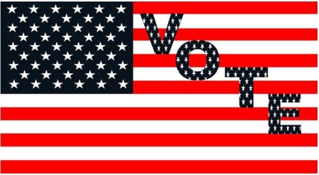 Caption: Image of US flag with “Vote” written on it (<a rel="nofollow" href="https://pixabay.com/p-806576/?no_redirect" targe