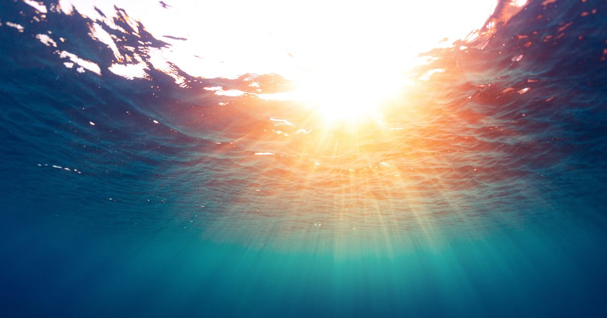 Песни свет в океане. Солнце под водой. Лучи солнца в воде. Лучи солнца под водой. Лучи света под водой.