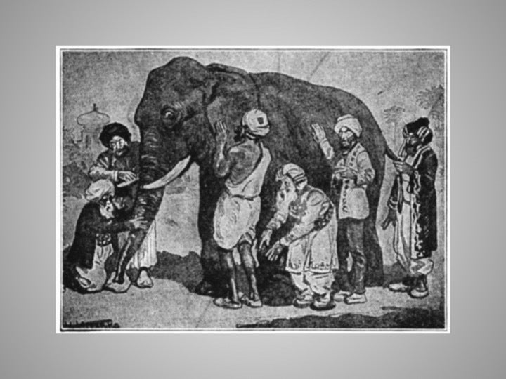 <p>Parable of The Blind Men & The Elephant</p>