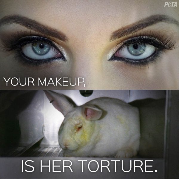 Animal Testing a necessity? HuffPost Contributor