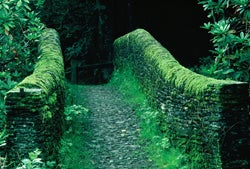 <p><strong>BRIDGE INTO DARKNESS</strong></p>