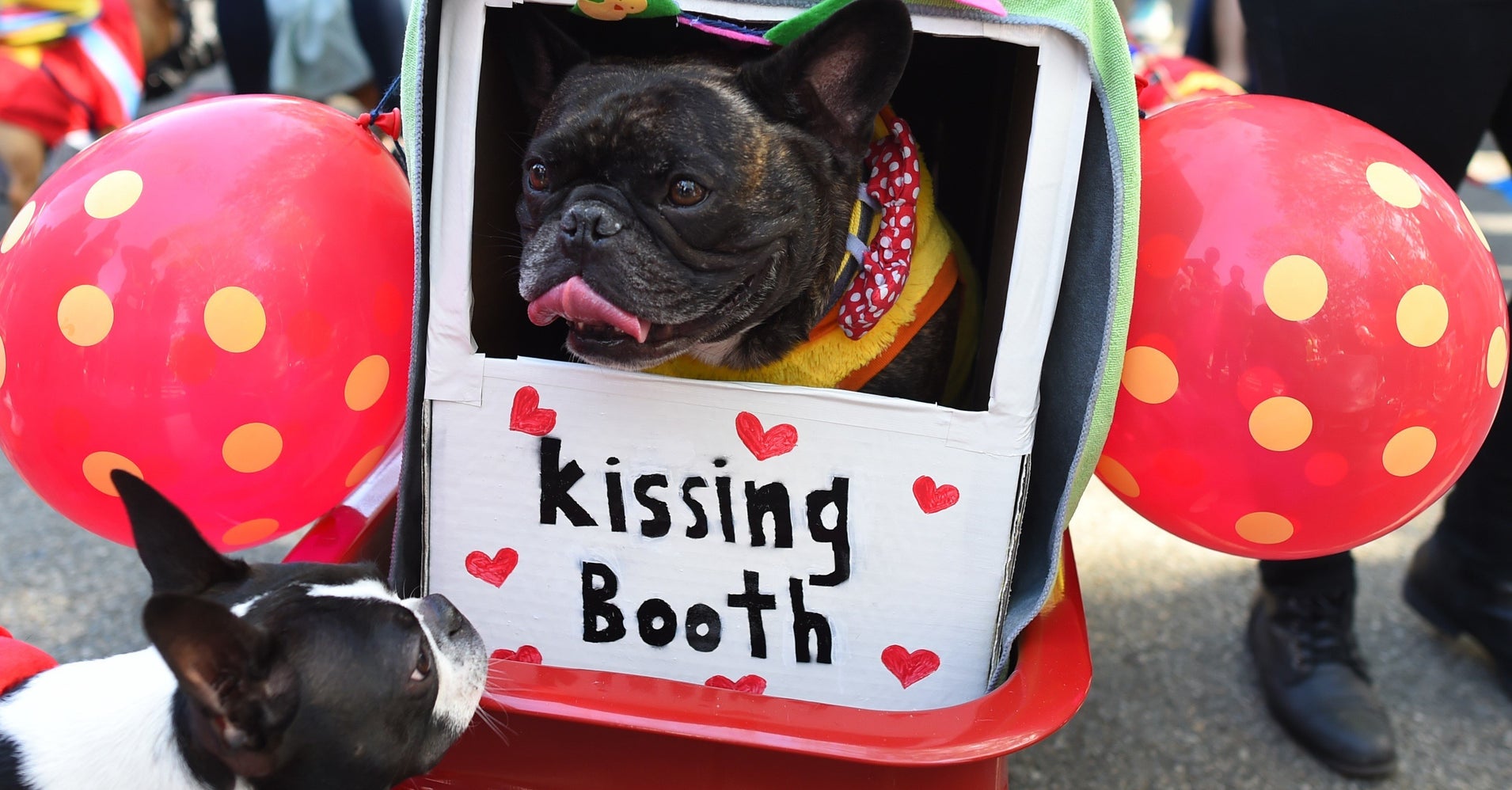 Some Truly Excellent Costumes From NYC's Famous Halloween Dog Parade