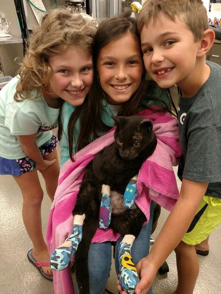 Luke, a 13-year-old cat, in the arms of the children who thought he had been lost forever in a wildfire earlier this month.