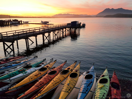 Photo credit: Tofino Sea Kayaking