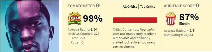 How does Rotten Tomatoes work and how can one become a top critic