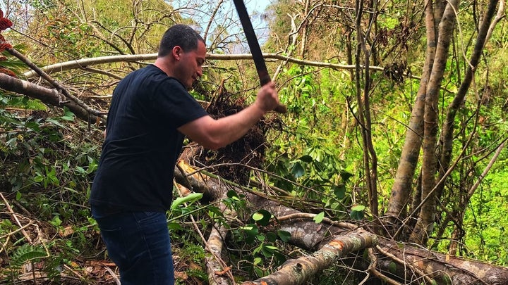 Oscar Vazquez uses a machete to cut branches from trees knocked over by Hurricane Maria at his familys farm in Hatillo, Puert