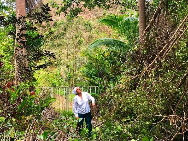 Mercedes Mercado finds hurricane damage high and low on her farm in Hatillo, Puerto Rico.