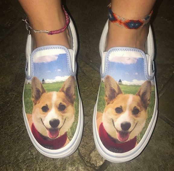 custom dog vans shoes