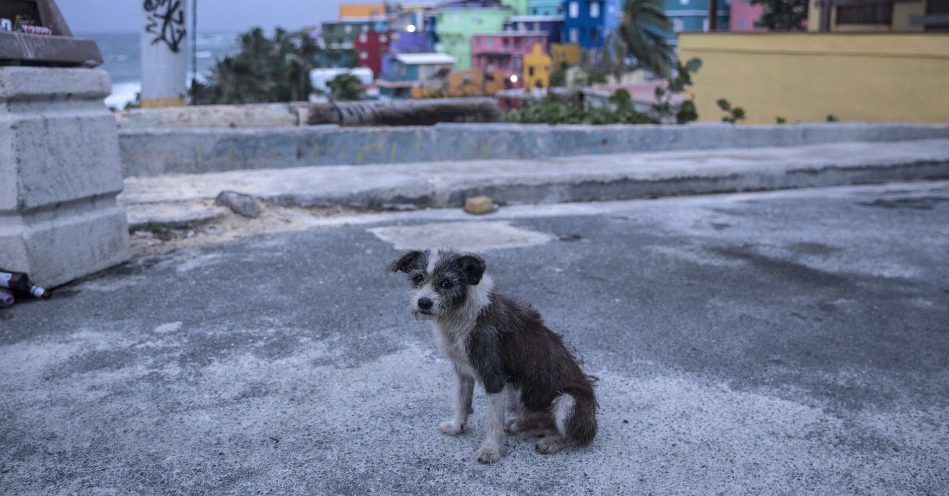 Puerto Ricans Are Struggling To Flee The Island With Their