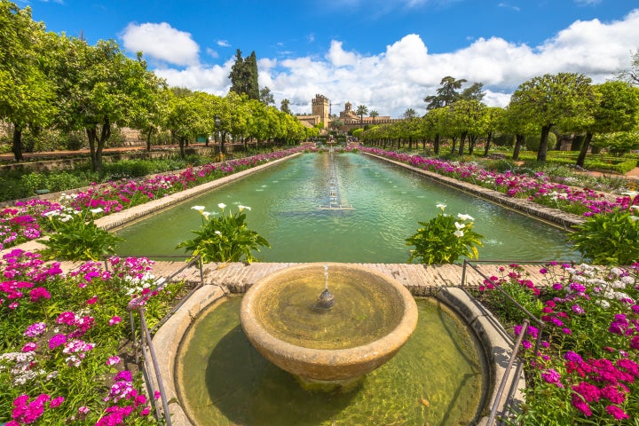 The gardens at the Alcázar