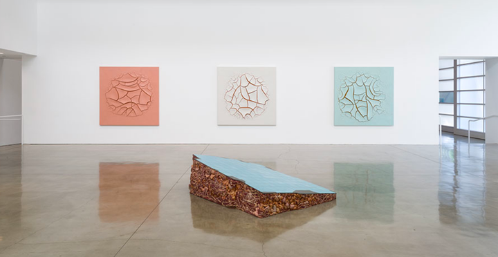 Installation view, North Gallery. © Adriana Varejão. Photo by Jeff McLane. Courtesy Gagosian.