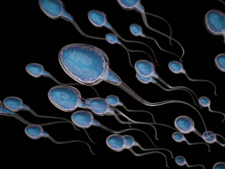 “It is entirely possible for sperm counts to be declining ... without their being a corresponding decrease in male fertility,” says University of Sussex professor Fiona Mathews.
