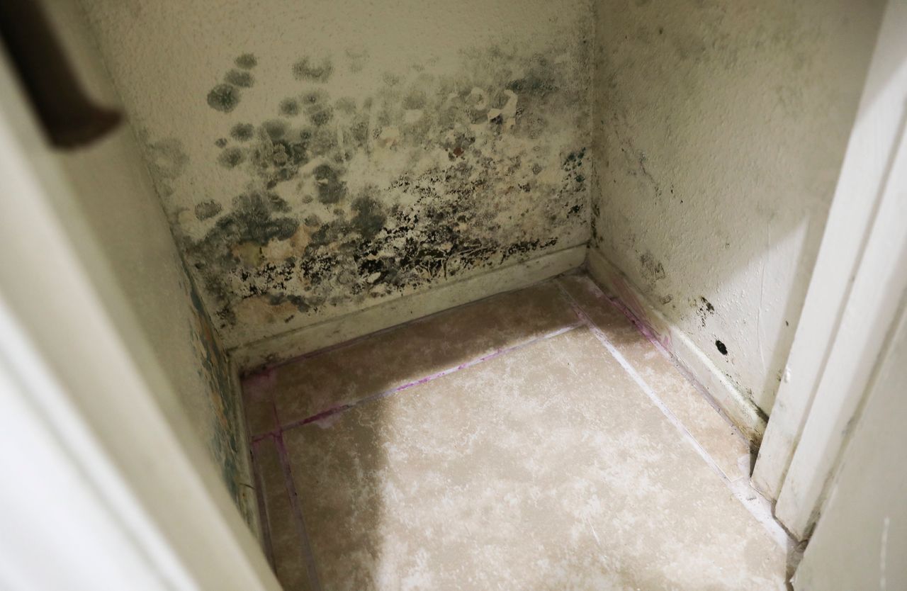 Mold grows in a closet of a unit at Rockport Apartments.