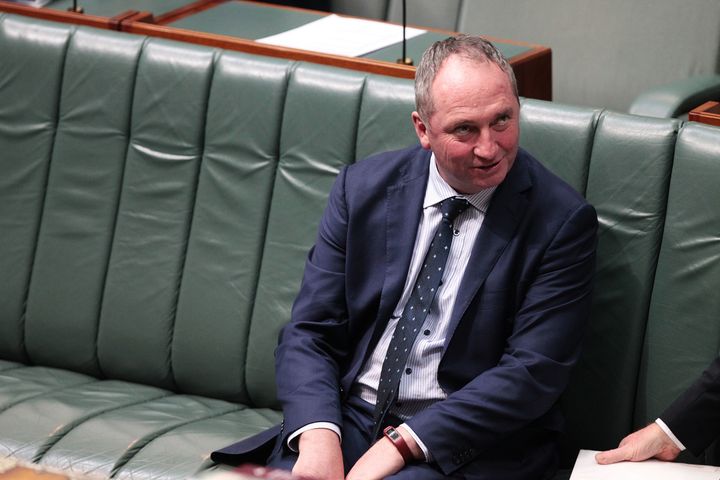 Barnarby Joyce was a dual Australia-New Zealand citizen when he was elected to parliament in 2016, making him ineligible for office