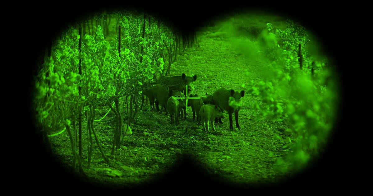 Military Night Vision Goggles  How Do Night Vision Goggles Work?