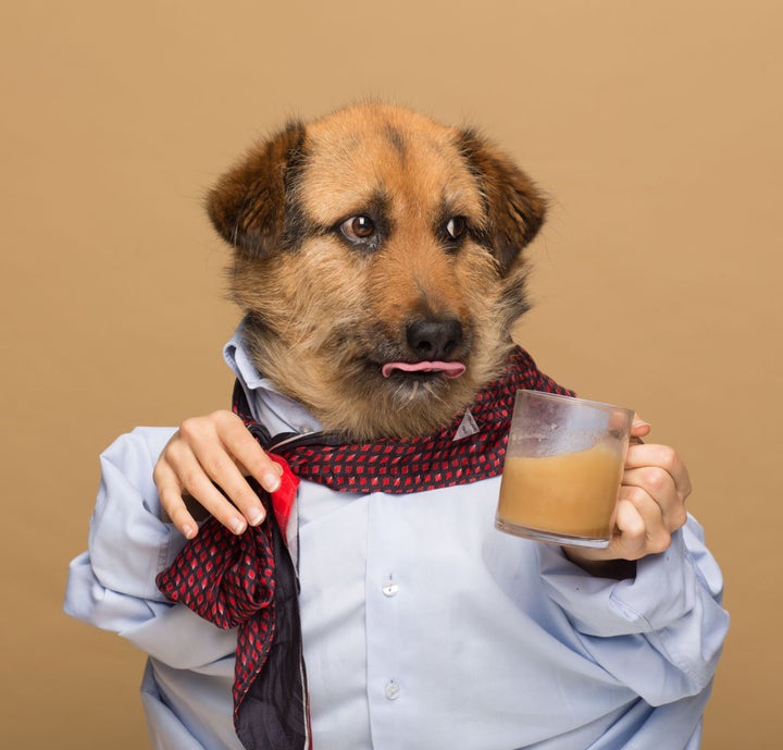 Crete, one of Agota Jakutyte's dogs, poses for an ad for