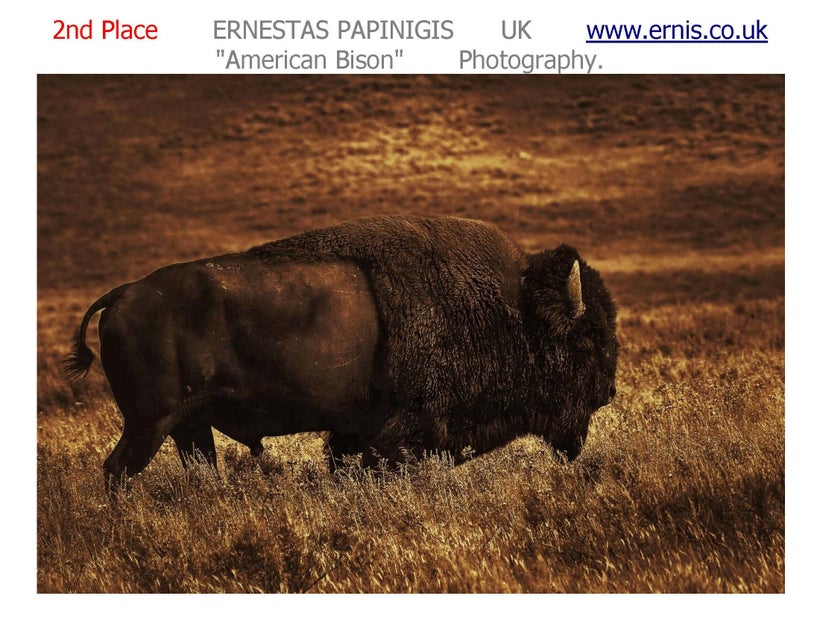 <a rel="nofollow" href="https://www.ernis.co.uk/" target="_blank">PAPINIGIS WEB SITE</a>