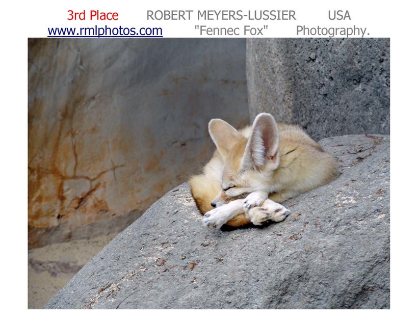 <a rel="nofollow" href="https://www.rmlphotos.com/" target="_blank">MEYERS-LUSSIER WEB SITE</a>