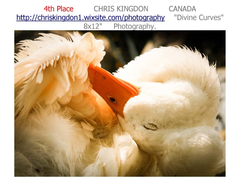 <a rel="nofollow" href="http://chriskingdon1.wixsite.com/photography" target="_blank">KINGDON WEB SITE</a>