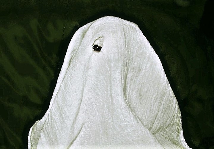 <p> Boooo! The best costume for a one-eyed Chihuahua! </p>