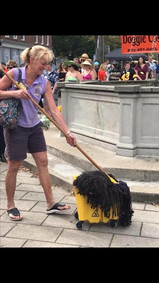 Housework can be ruff.