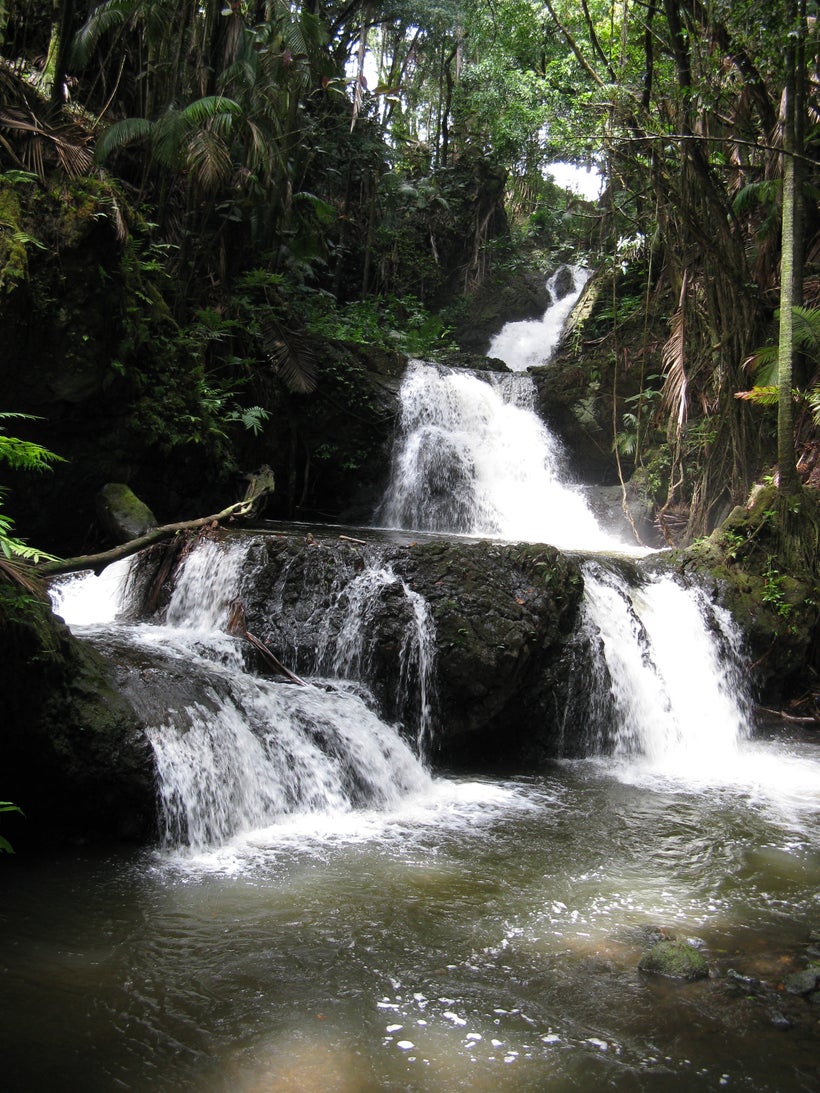 TROPICAL WATERFALL