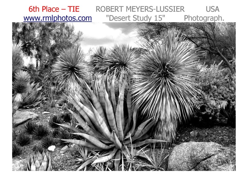 <a rel="nofollow" href="https://www.rmlphotos.com" target="_blank">MEYERS-LUSSIER WEB SITE</a>