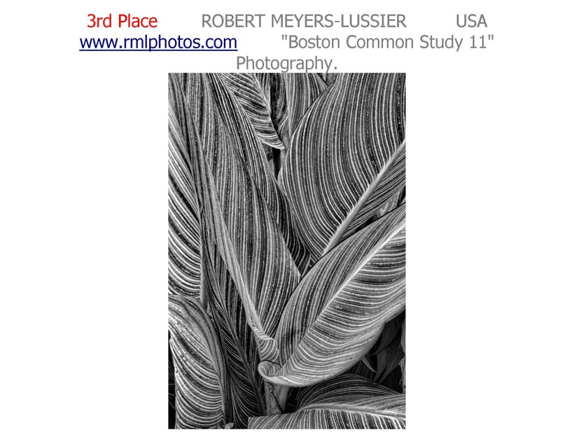 <a rel="nofollow" href="https://www.rmlphotos.com" target="_blank">MEYERS-LUSSIER WEB SITE</a>