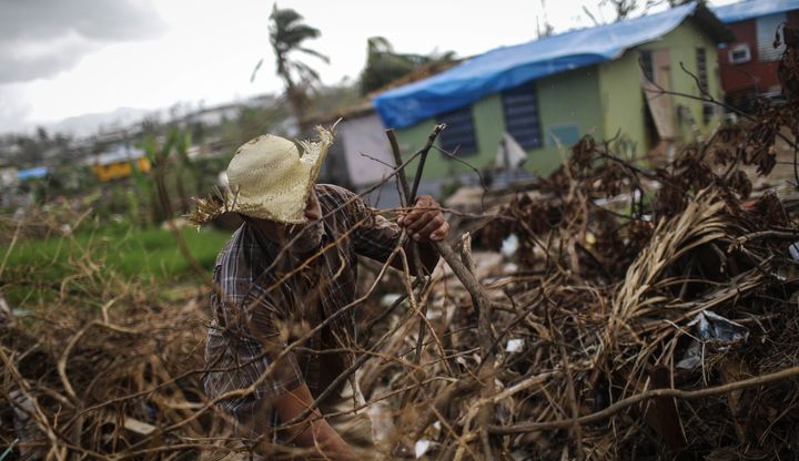 A man clears destroyed tree branches in a neighborhood in San Isidro, Puerto Rico, that's been without grid electricity for weeks. Eighty percent of the island hasn't had power for more than a month.