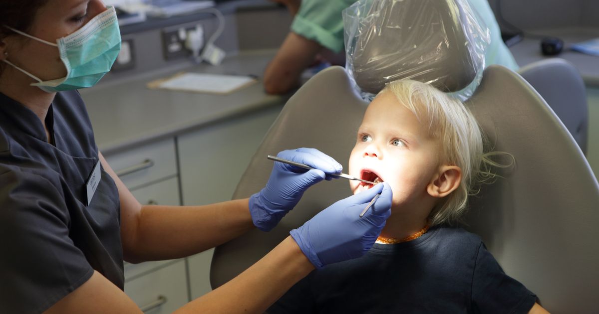 Лечение стоматологических заболеваний. Ребенок у стоматолога. Малыш у стоматолога. Стоматология дети.