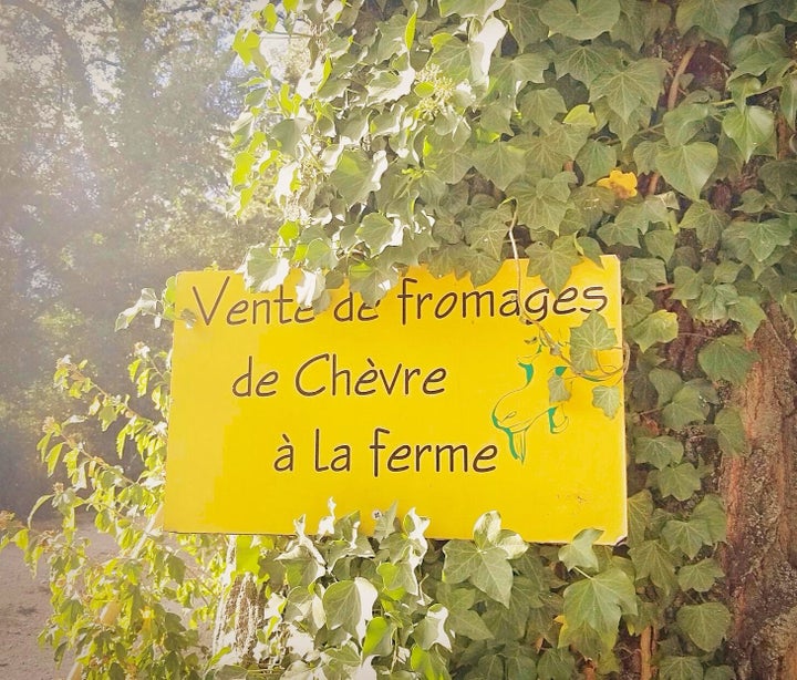 <p>Sampling the local wares in Provence.</p>