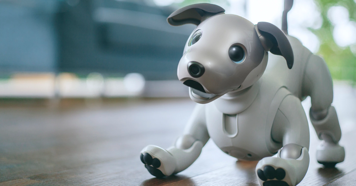 We Compared Sony S New Robot Dog To The Real Thing Guess