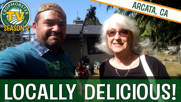 CropMobster TV (Season 2, Ep 9) Interview with Ann Anderson of Locally Delicious
