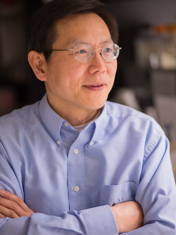 <p>Ying Zhang, a researcher at Johns Hopkins University, believes new treatments for Lyme disease need to be developed.</p>